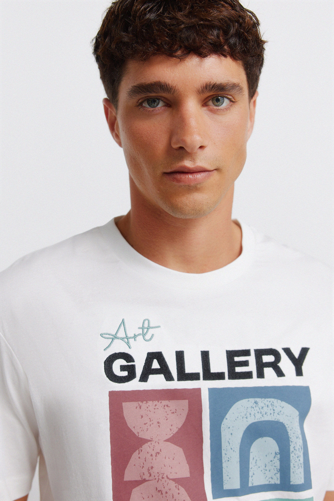 Springfield T-shirt art gallery