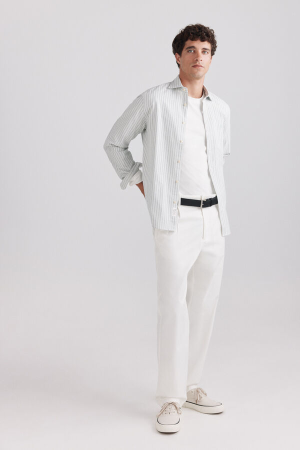 Springfield Camisa oxford &agrave;s riscas verde