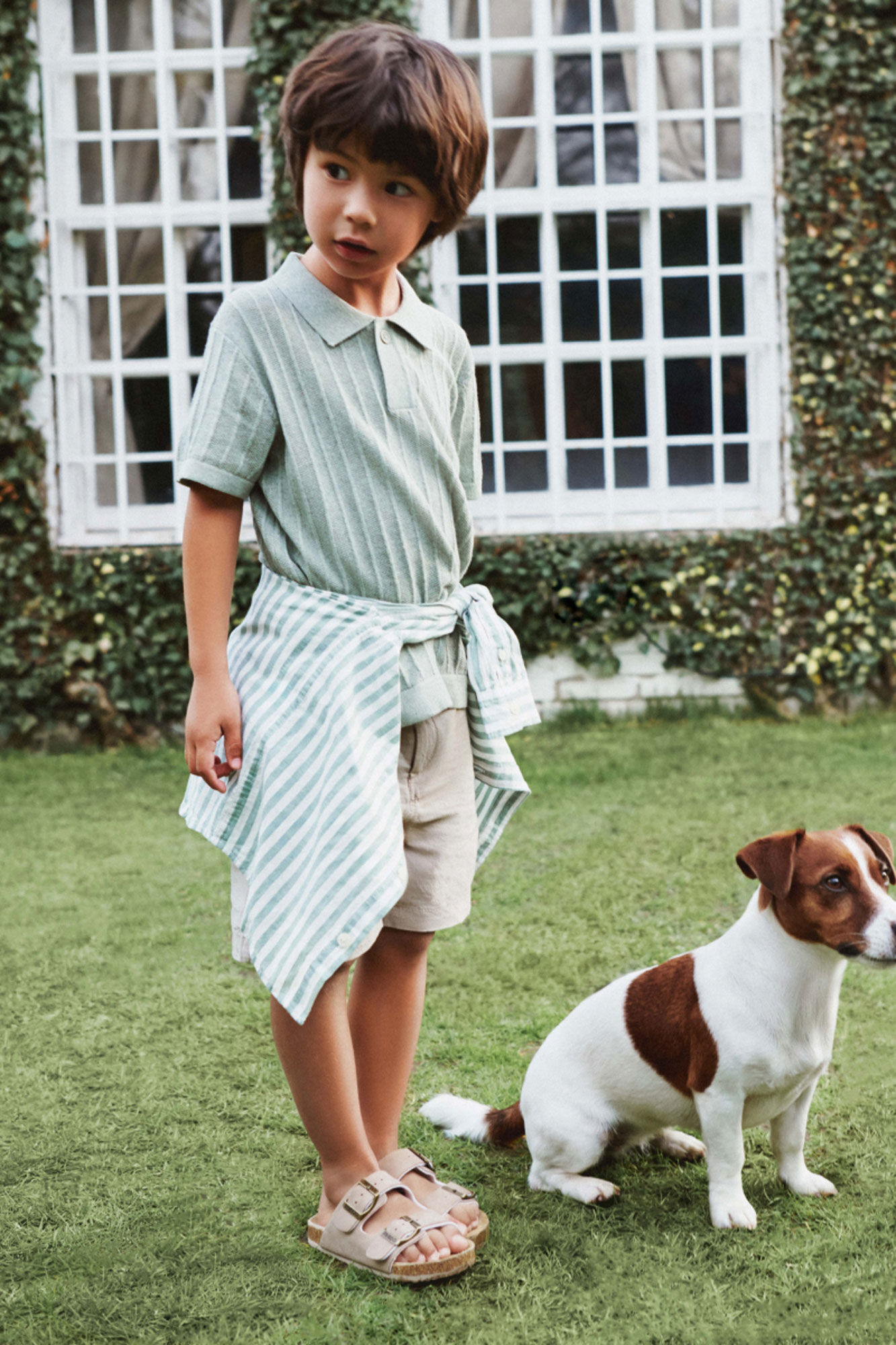 Springfield Kids Polo manga curta em tricot para menino