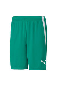 Springfield teamLIGA Shorts green
