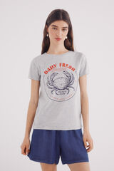 Springfield "Daily fresh seafood" T-shirt grey