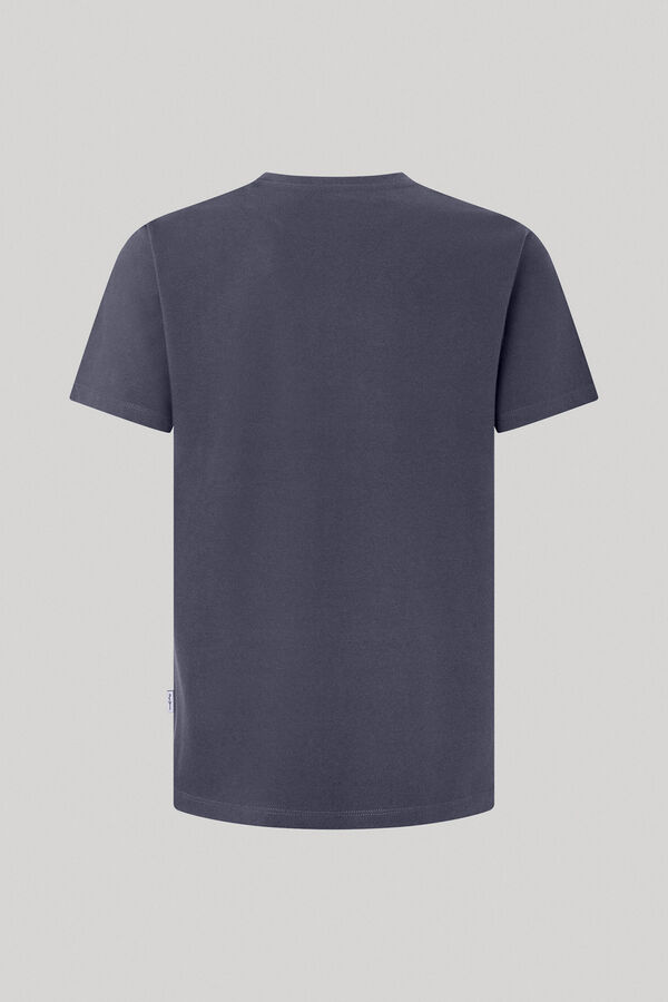 Springfield T-shirt Single Cardiff  cinza
