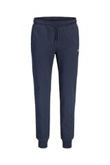 Jack & Jones PLUS Cal&ccedil;a jogger regular azul