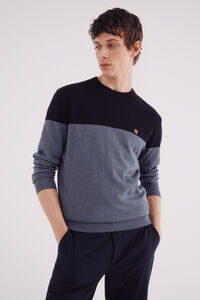Springfield Jersey básico bloque color