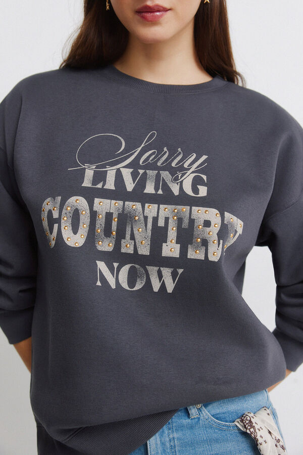 Springfield Sweatshirt "Country" cinzento