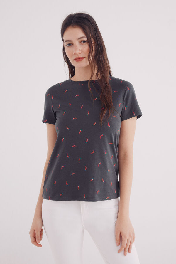 Springfield Fruit print t-shirt grey