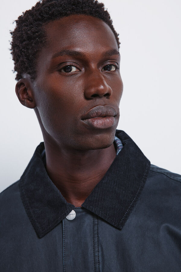 Springfield Parka curta com gola de veludo cotel&ecirc; azul