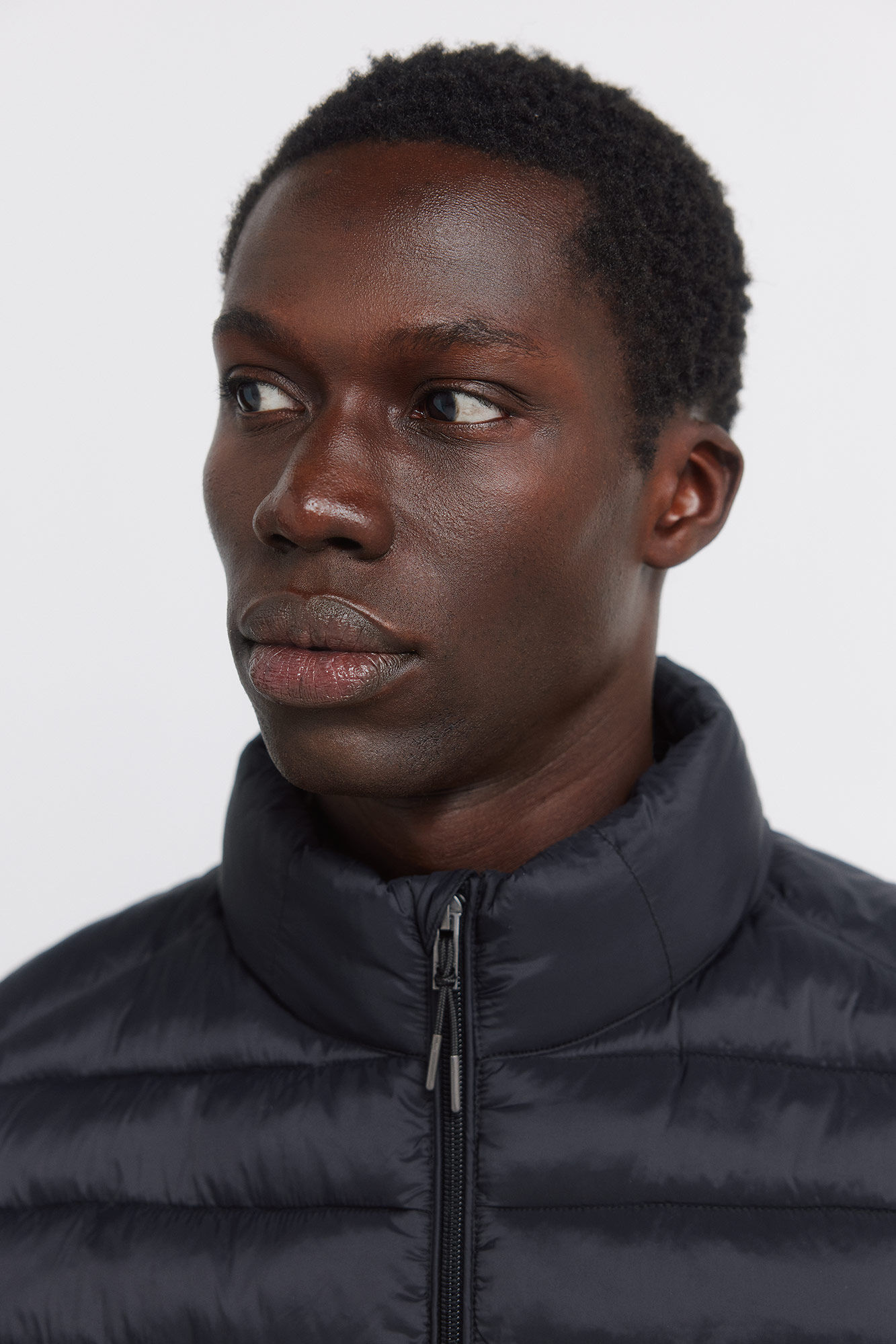 Springfield Colete acolchoado