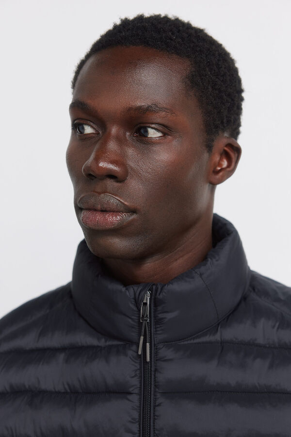 Springfield Colete acolchoado preto