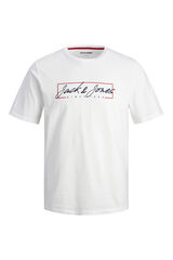 Springfield T-shirt fit standard Plus branco