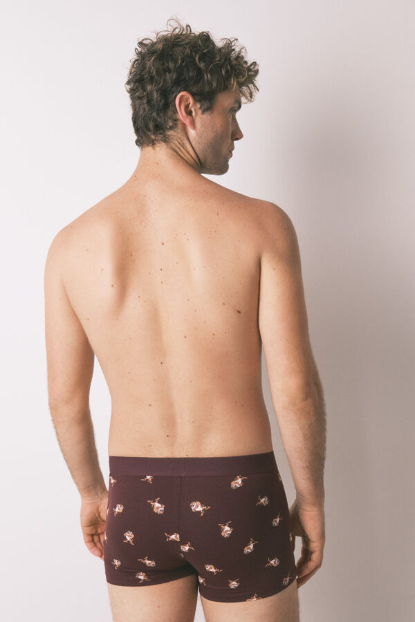 Women'secret Pack de 2 cuecas de algodão "Taz" vermelho