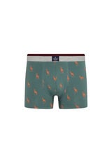 Kiff-Kiff Boxers estampados de girafa verde