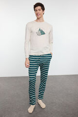 Trendyol Conjunto de pijama de casal bege de Natal com riscas, corte regular  bege