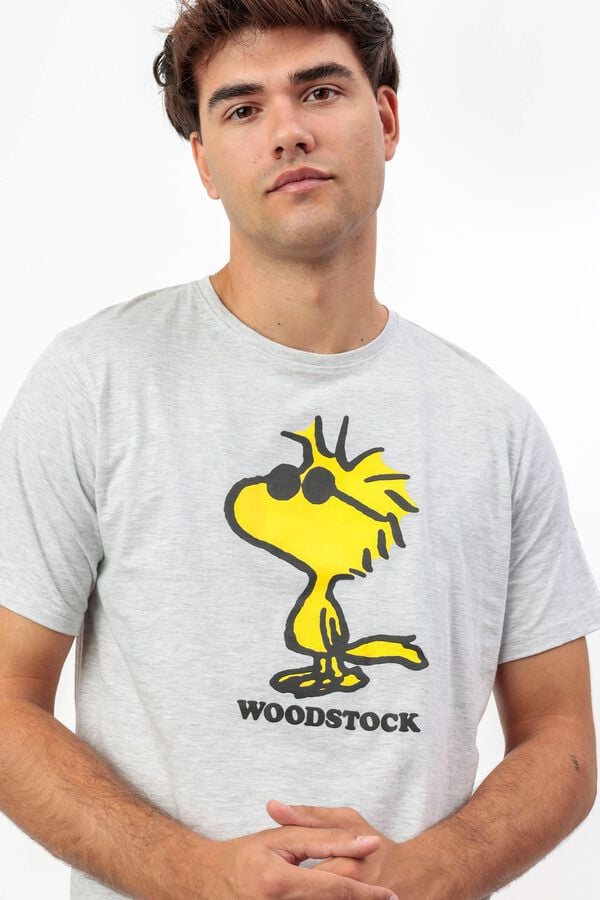 Admas Pijama curto Snoopy Woodstock cinzento