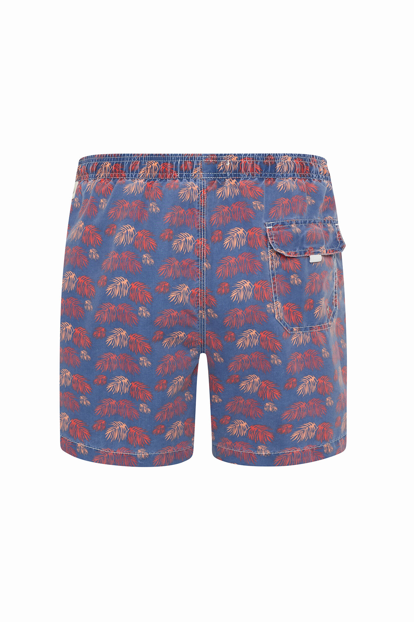 Kiff-Kiff Ba&ntilde;ador bermuda azul helechos 