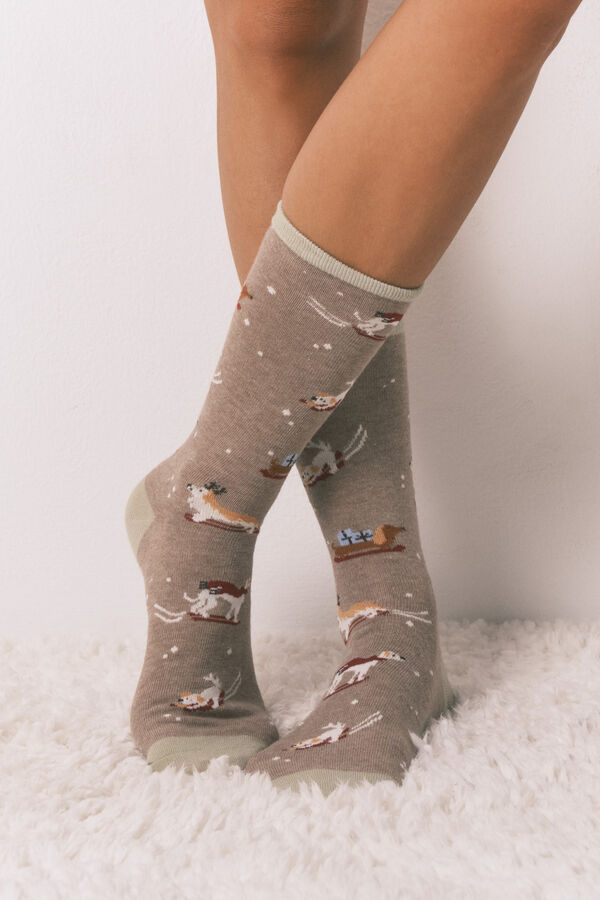 Women'secret Pacote com 6 meias longas de meias para c&atilde;es   verde