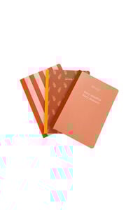 Mr. Wonderful Conjunto de 3 cadernos 19x25 cm - Muito consciente, muito recatado