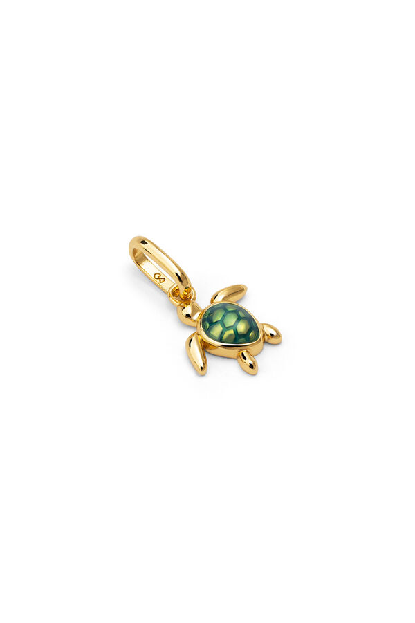 Singularu Charm Tortuga Baño Oro amarillo