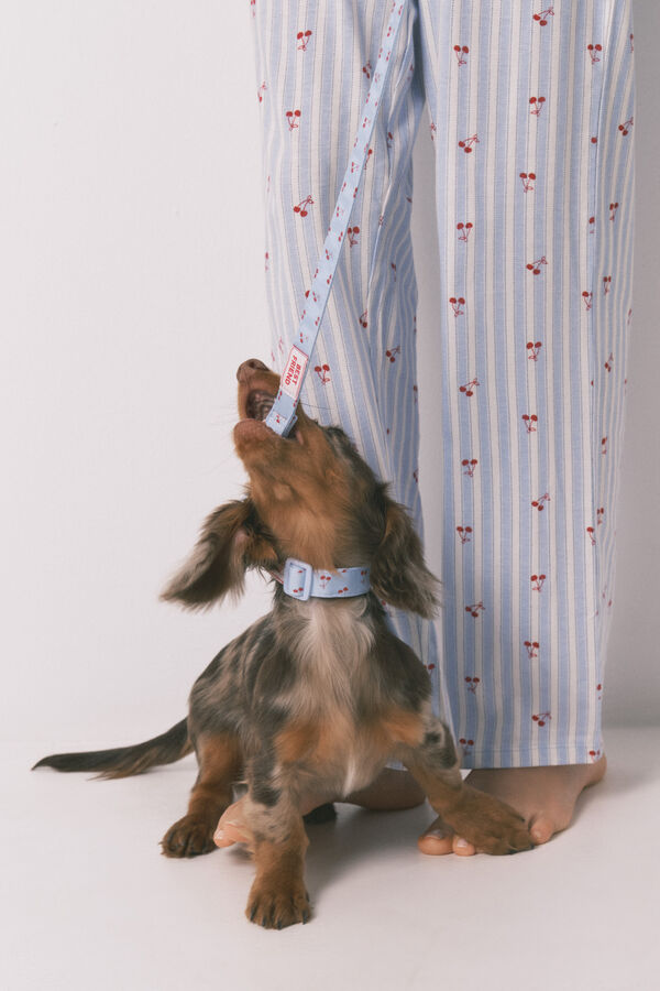 Women'secret Coleira de c&atilde;o com pendente de cerejas azul azul