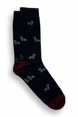 Kiff-Kiff Meias masculinas azul marinho azul