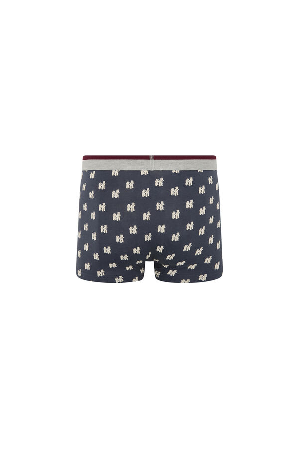 Kiff-Kiff B&oacute;xer gris gris