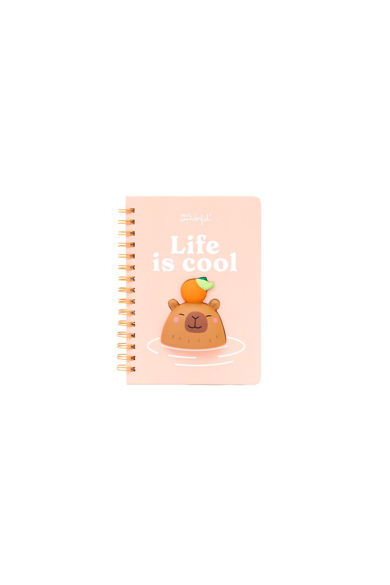 Mr. Wonderful Caderno A5 3D Squishy Capybara