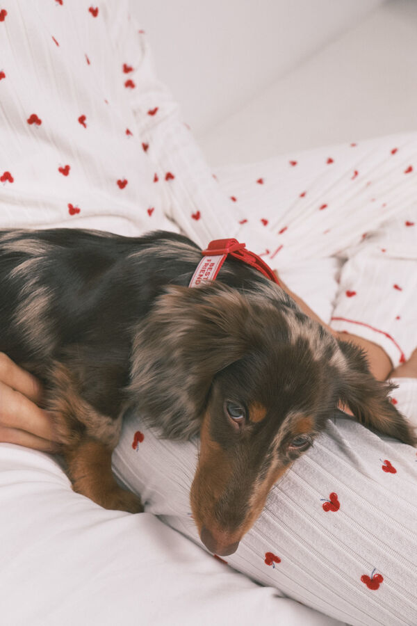 Women'secret Coleira de c&atilde;o com pendente de cerejas vermelha vermelho