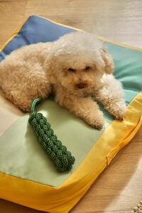 Calma House Almofada para animal de estima&ccedil;&atilde;o Buby turquesa 60x40x12