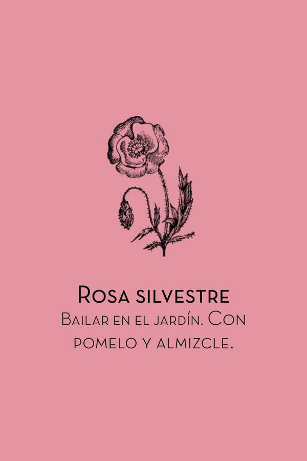 Textura Rose fabric freshener printed