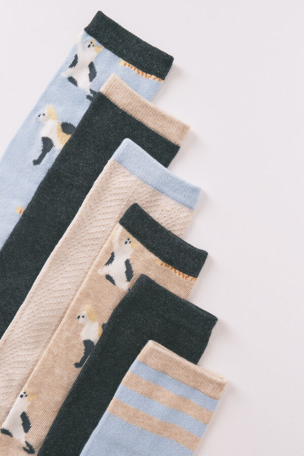 Women'secret Pacote de 6 meias longas de algod&atilde;o com gatos   azul