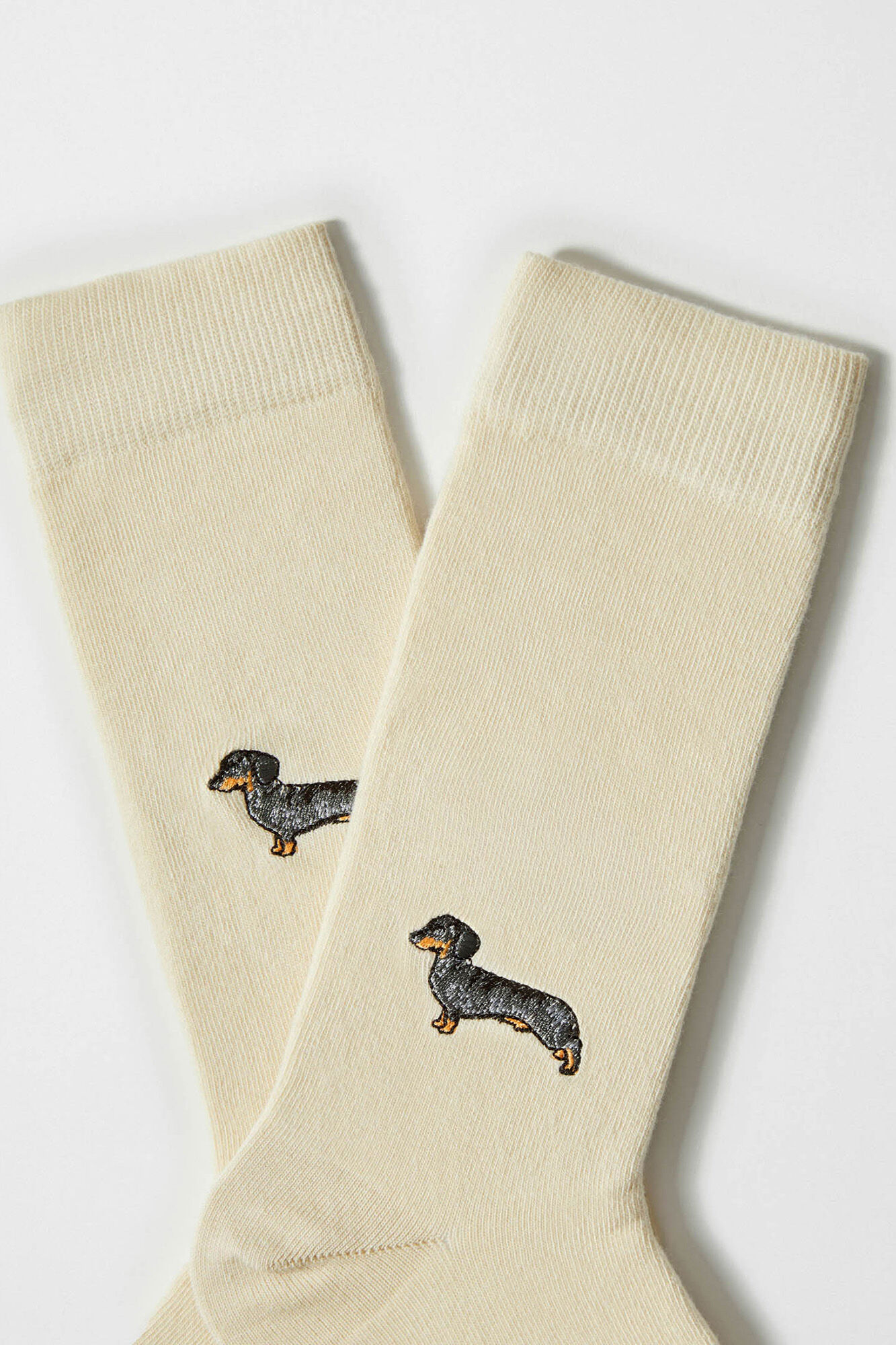 Besocks Meias altas estampado c&atilde;o salsicha em algod&atilde;o org&acirc;nico