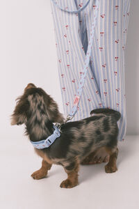 Women'secret Coleira de c&atilde;o com pendente de cerejas azul