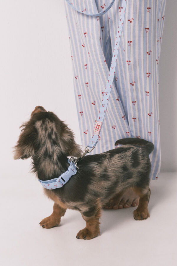 Women'secret Coleira de c&atilde;o com pendente de cerejas azul azul