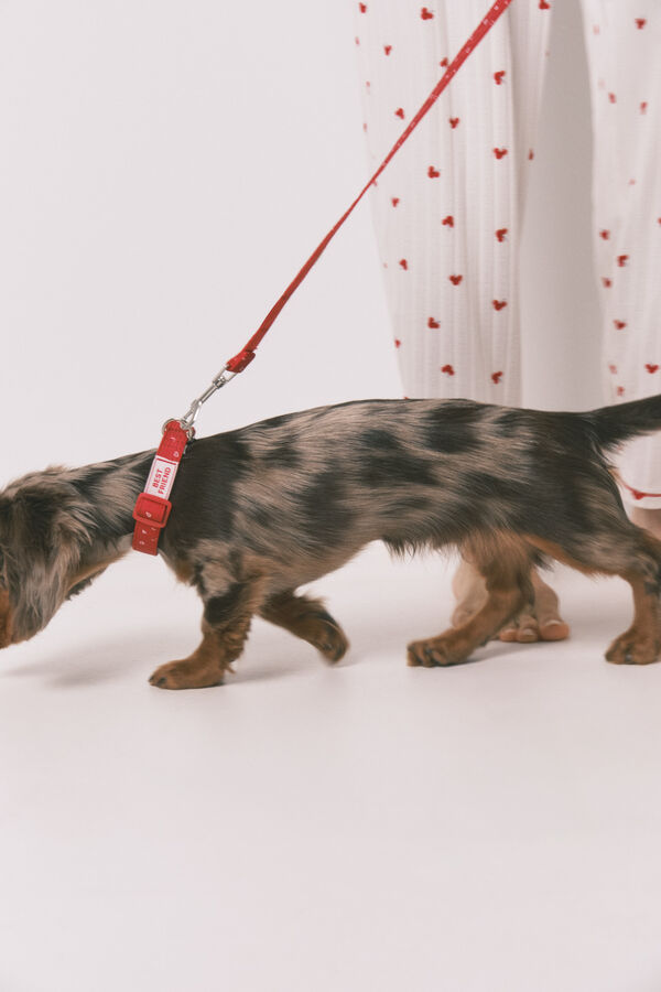 Women'secret Trela de c&atilde;o com cora&ccedil;&otilde;es vermelha vermelho