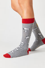 Besocks Meias altas de algod&atilde;o org&acirc;nico em cor cinzenta cinzento