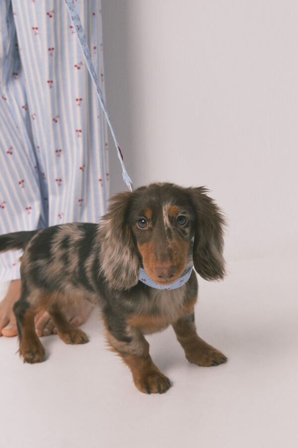 Women'secret Trela de c&atilde;o com cerejas azul azul