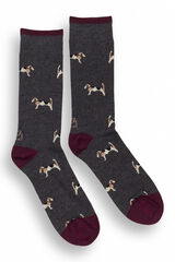 Kiff-Kiff Meias masculinas cinza cinzento