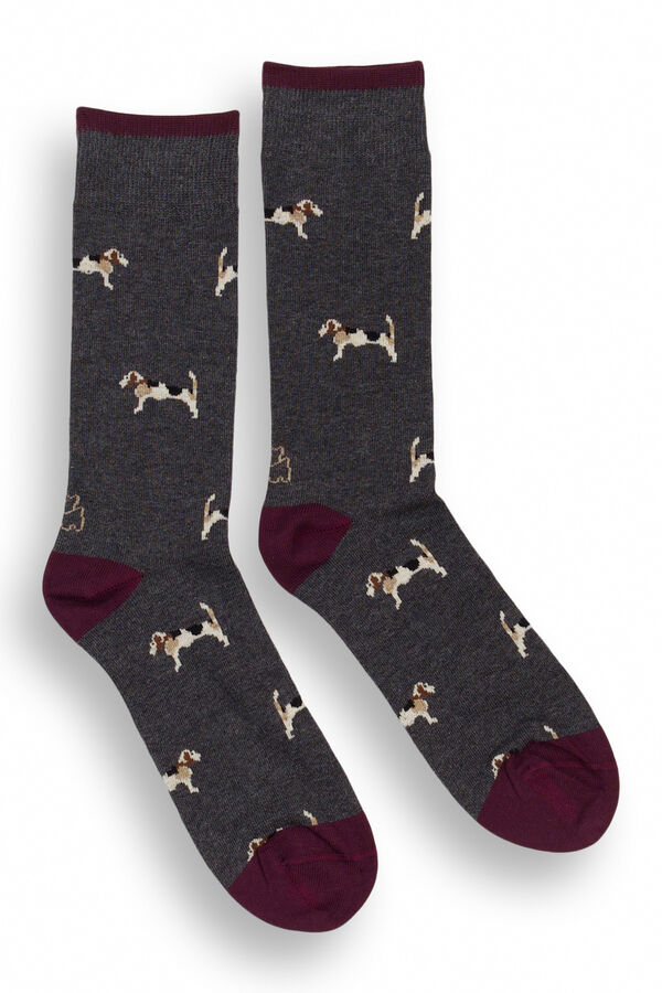 Kiff-Kiff Meias masculinas cinza cinzento