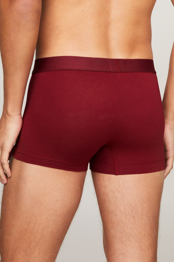 Tommy Hilfiger Pack de 3 boxers de colores estampado