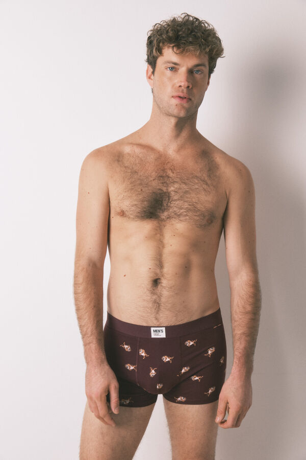 Women'secret Pack de 2 cuecas de algodão "Taz" vermelho