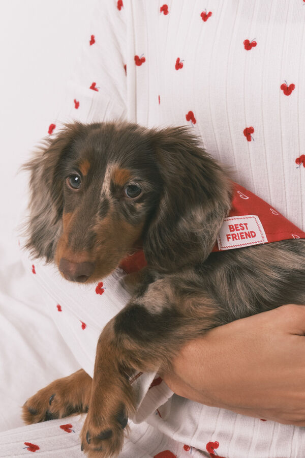 Women'secret Bandana para c&atilde;o com cora&ccedil;&otilde;es vermelha vermelho
