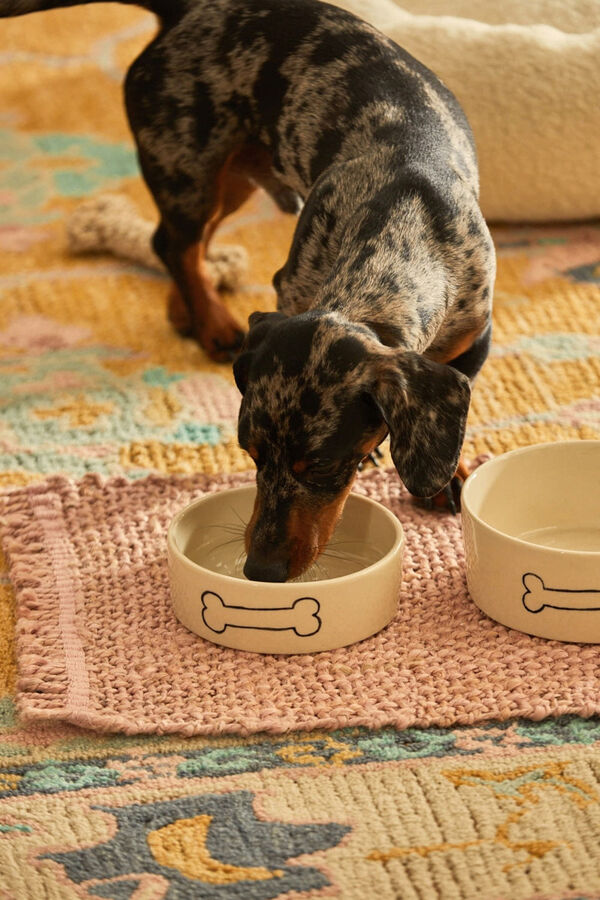 Calma House Prato para animais de estimação Sasha estampado