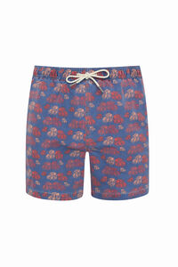 Kiff-Kiff Fato de banho bermuda azul lavagem de fetos marinhos