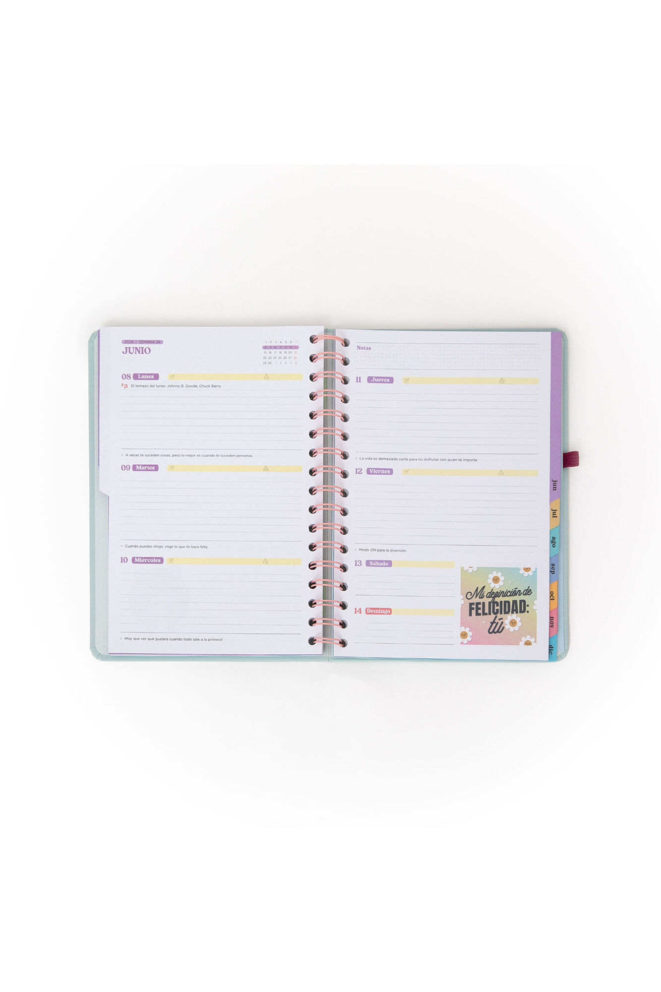 Mr. Wonderful Agenda semanal Small Wonder 2026 + caneta - Meta da semana: acabar logo com isso!