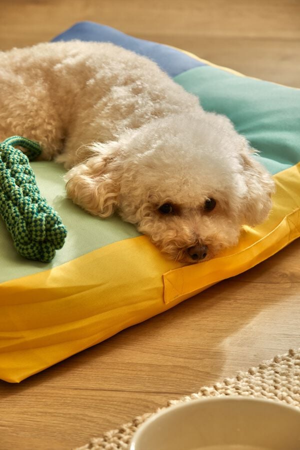 Calma House Almofada para animal de estima&ccedil;&atilde;o Buby turquesa 60x40x12 azul