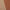 bege