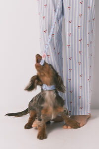 Women'secret Trela de c&atilde;o com cerejas azul