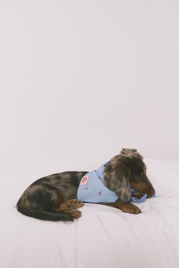 Women'secret Bandana para c&atilde;o azul com cerejas azul