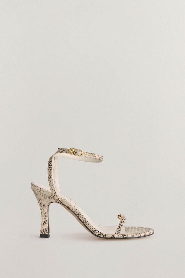 Detail and buckle set