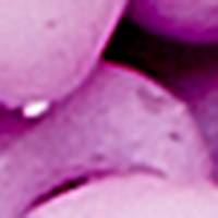 Cortefiel Flower earrings Purple